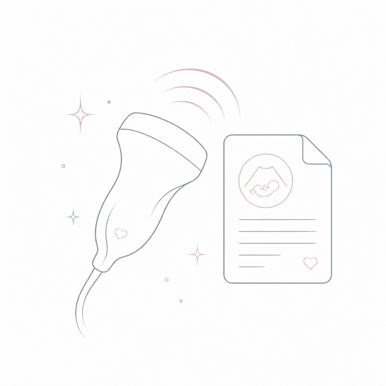 Diagnostic ultrasound transducer with medical report illustration