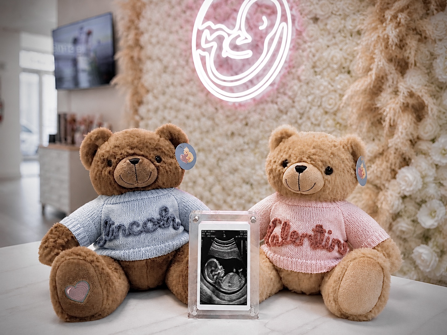 Mama's Keepsake — heartbeat embroidered teddy bears with ultrasound video frame